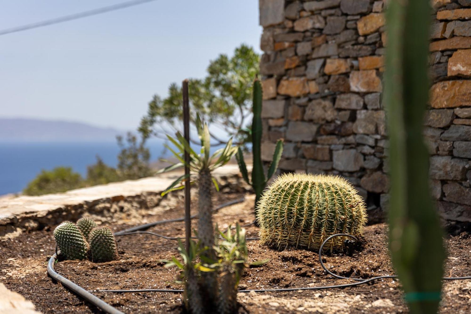 Avra House Kythnos Villa Ngoại thất bức ảnh